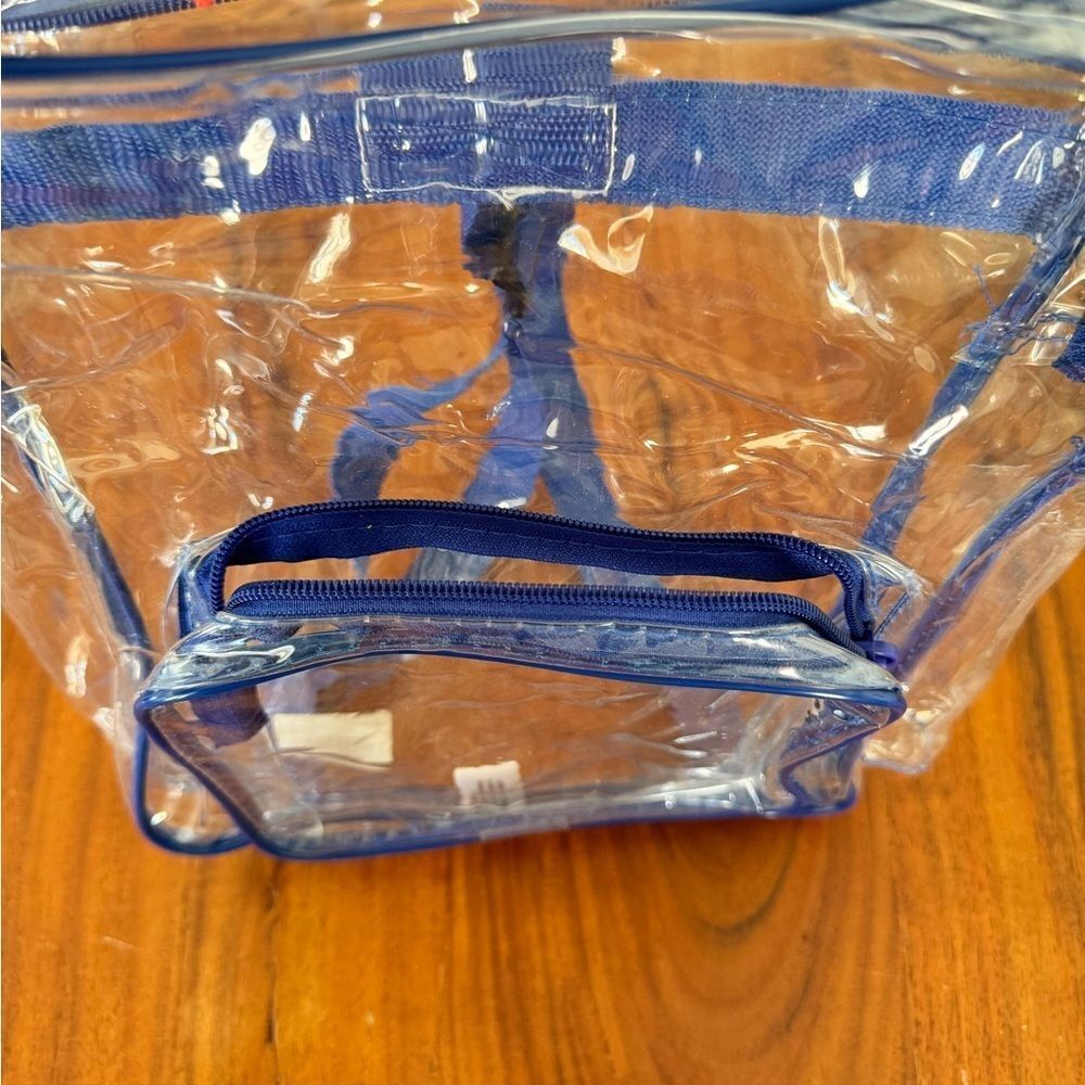 Lakeshore small see-through backpack